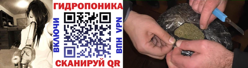 закладки  площадка какой сайт  Бошки марихуана тримм  Луховицы 